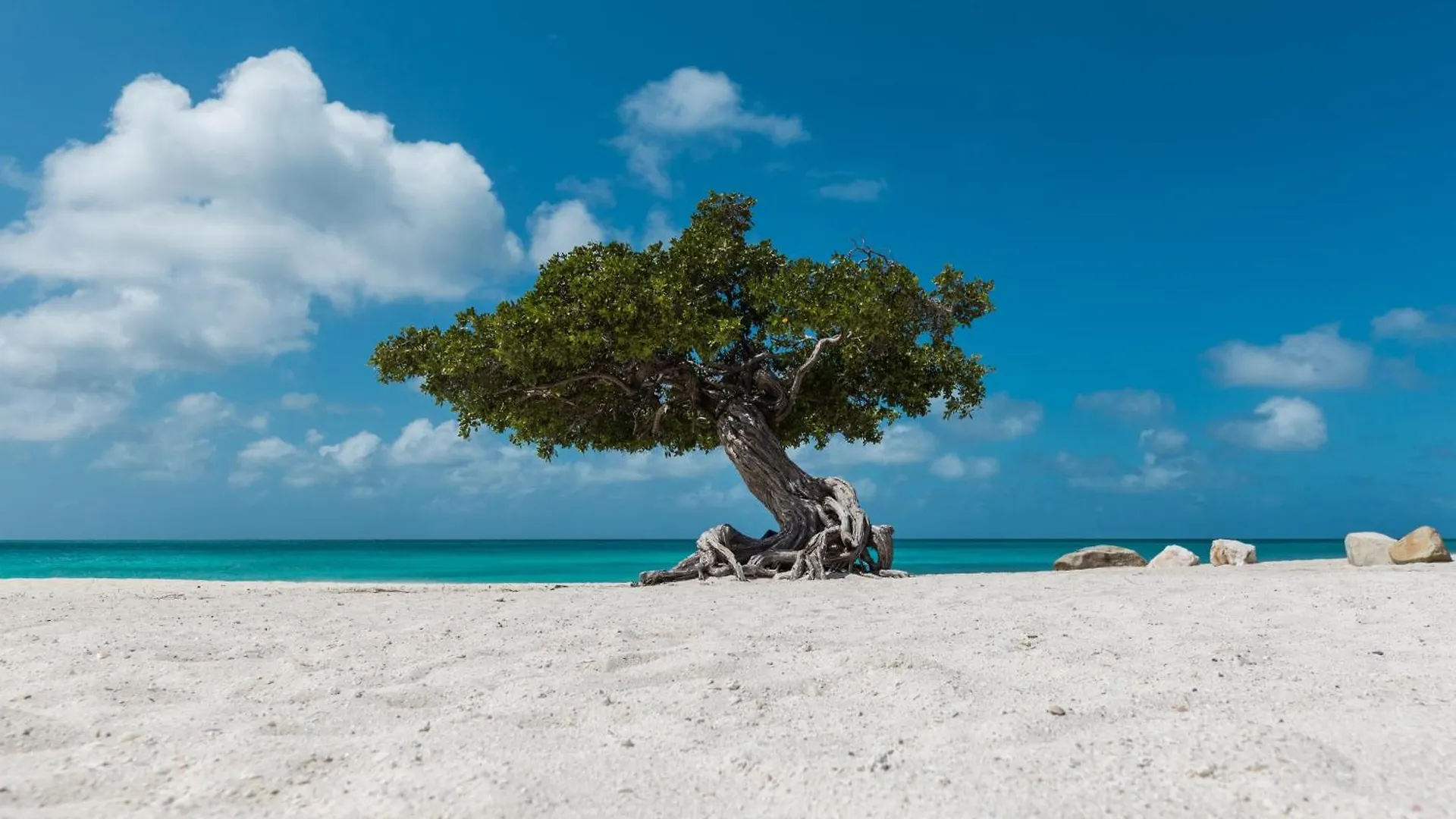 Semesterbostad Diamante 122D Villa Palm Beach